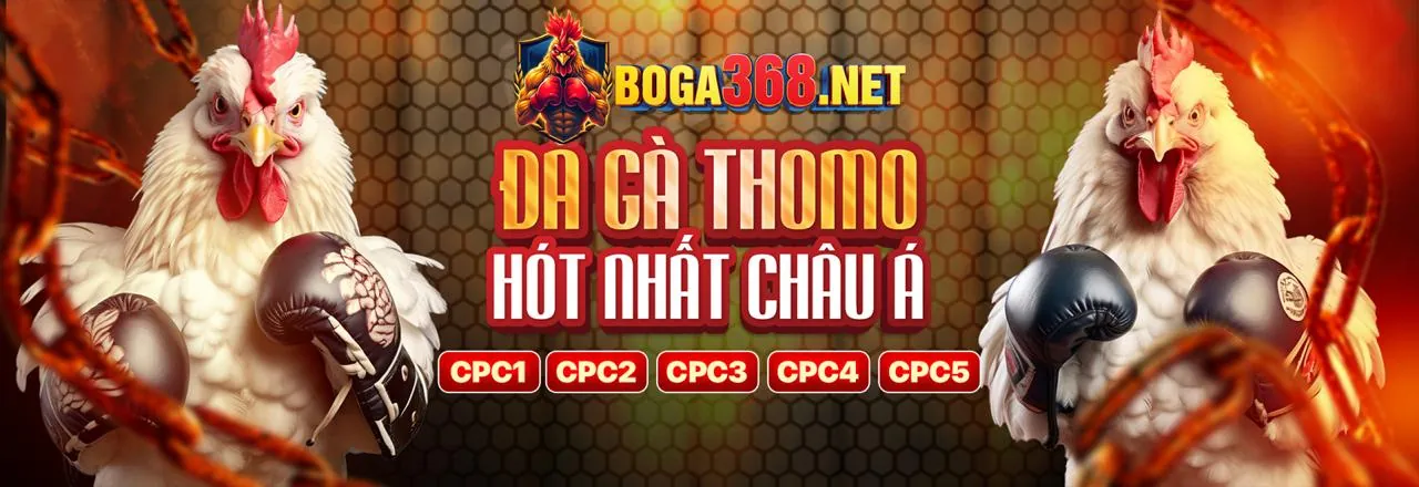 Đội ngũ hỗ trợ khách hàng của Q88